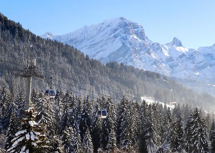 Le Bristol C54 By Interhome Villars-sur-Ollon