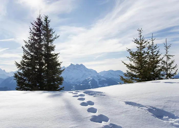 Apartman Le Bristol C54 By Interhome Villars-sur-Ollon