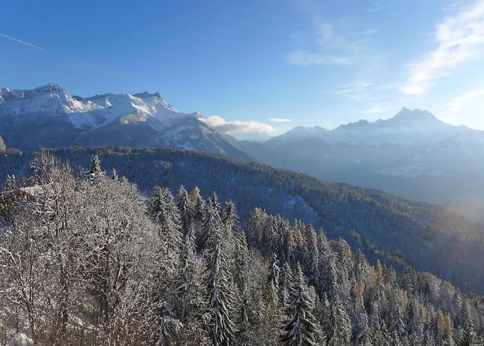 Apartment Le Bristol C54 By Interhome *