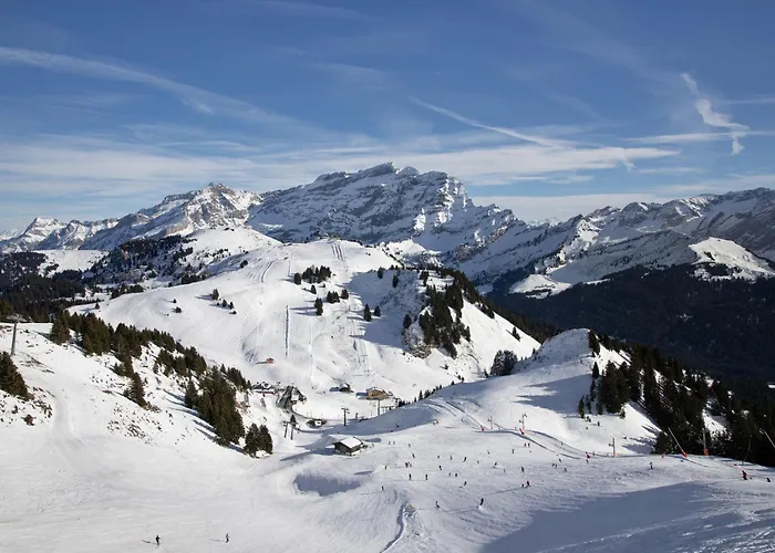 Le Bristol C54 By Interhome Villars-sur-Ollon