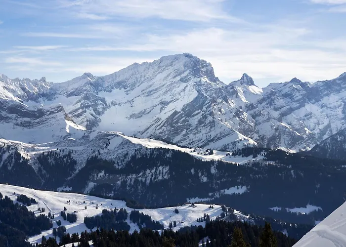 Apartment Le Bristol C54 By Interhome *